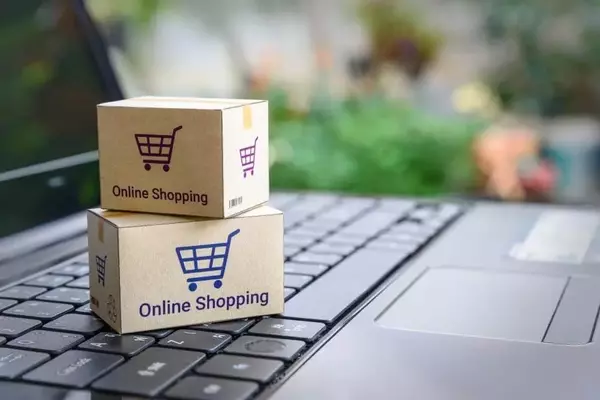 A Versatile Shopping Experience Across Platforms: How Product Variety and Pricing Differ