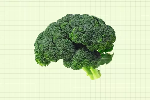The Profound Impact of Folate Deficiency on Brain Health