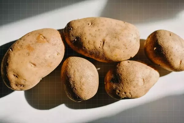 Mastering Potato Preservation: Essential Tips for Freshness