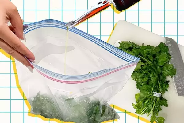 Mastering Herb Preservation: A Guide to Freezing Fresh Herbs in Oil