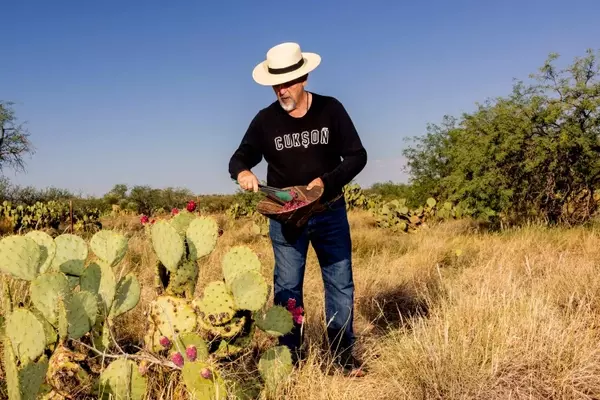 Tucson: A Culinary Journey Through the Sonoran Desert