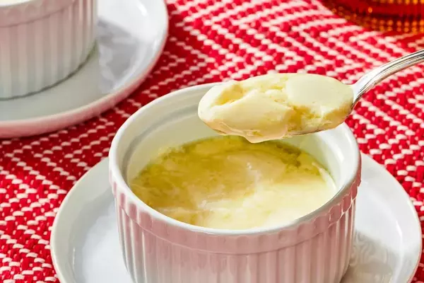 Mastering Chinese Ginger Milk Curd: A Culinary Science