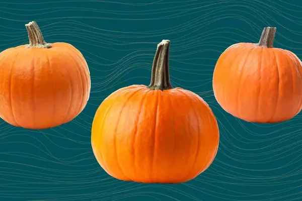 The Comprehensive Guide to Pumpkin: Health Benefits, Nutrition, and Culinary Uses