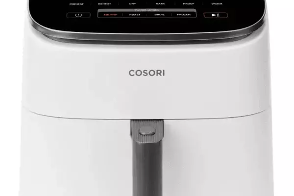 Top Air Fryers: An Expert Review of the Best Models for Crispy Results