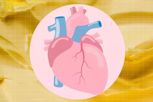 Exploring Butter's Impact on Cardiovascular Health: A Detailed Analysis