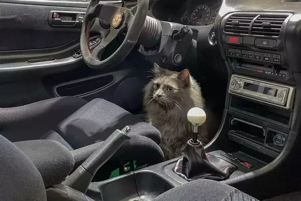 Car and Driver Staff's Beloved Pets