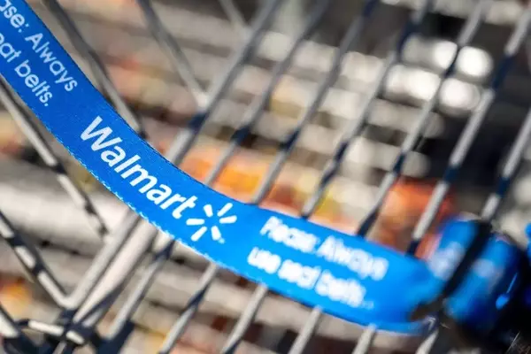 Walmart's Canopy Storage Shed: A Perfect Solution for Outdoor Organization, Now 48% Off