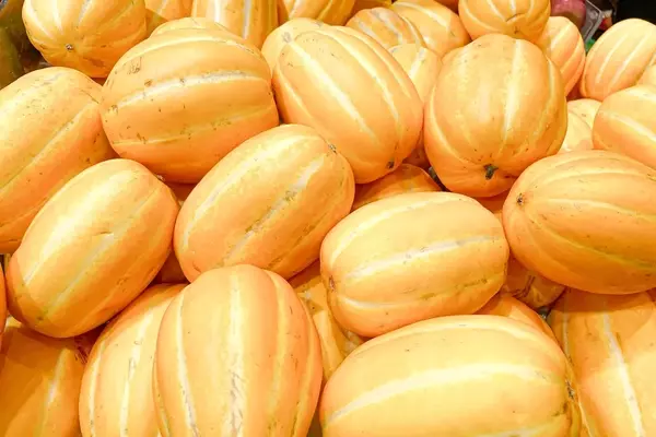 How to Select the Perfect Ripe Melon Using Your Senses