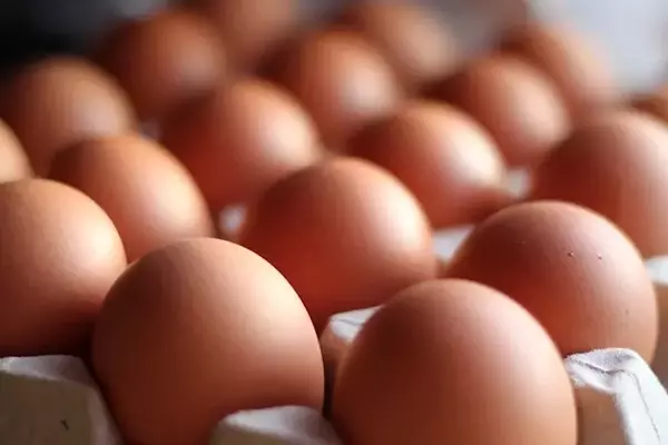 St. Ewe Free Range Eggs Welcomes New Chairman and Non-Executive Directors