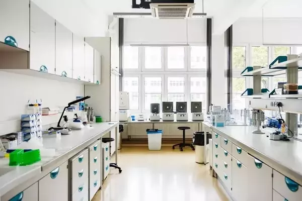 Collegium Pharmaceutical: A Shifting Horizon Beyond Pain Management