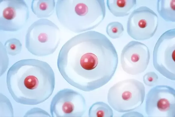 Corvus Pharmaceuticals: Advancing Soquelitinib for PTCL and Atopic Dermatitis
