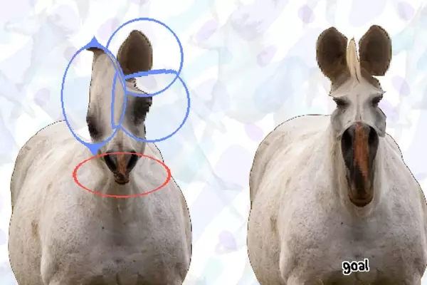 "Horse Magnifier: The Full Horse" Takes Steam by Storm with Unique Puzzle Gameplay