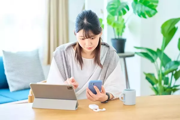 The Digital Divide: Unpacking the Advantages and Disadvantages of Online Checking Accounts