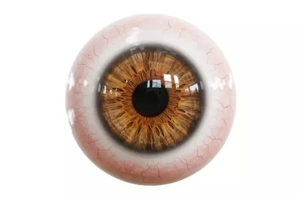 Aura Biosciences: A Deep Dive into Ocular Oncology and Bel-sar's Market Potential