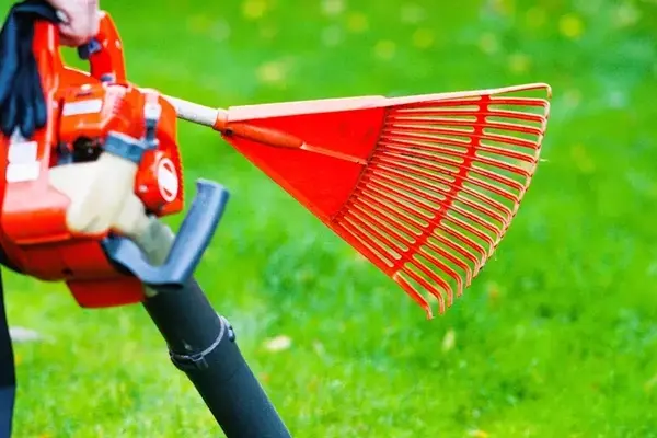 Leading Lawn and Garden Distributor Faces Chapter 11 and Potential Liquidation