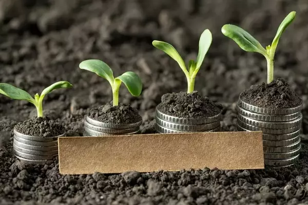 Virtus KAR Small-Mid Cap Growth Fund Q2 Performance Review