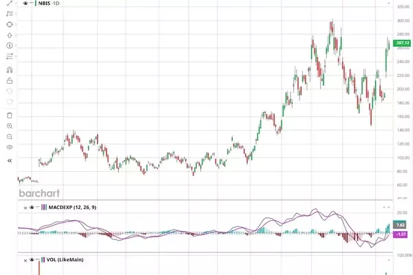 Michael Burry's Bearish Stance on Nebius Stock: A Warning for AI Investors