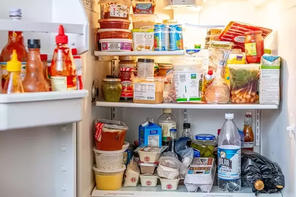 Conquering Unpleasant Refrigerator Smells