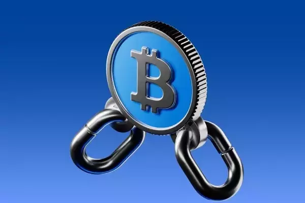 Bitcoin Stability Amid Market Dynamics: Volatility, Capitulation, and Long-Term Holder Trends