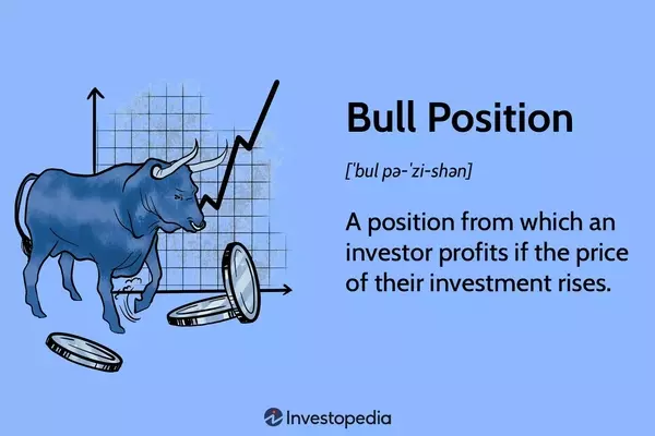 Understanding Bull Positions in Investment: A Comprehensive Guide