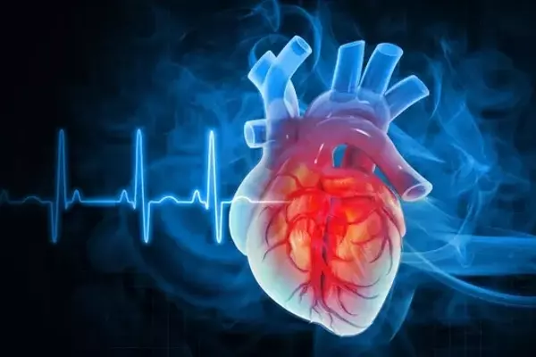 iRhythm Technologies: A Holistic Approach to Cardiac Monitoring