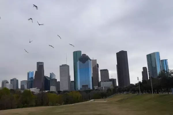 Houston: An Ideal Retirement Destination