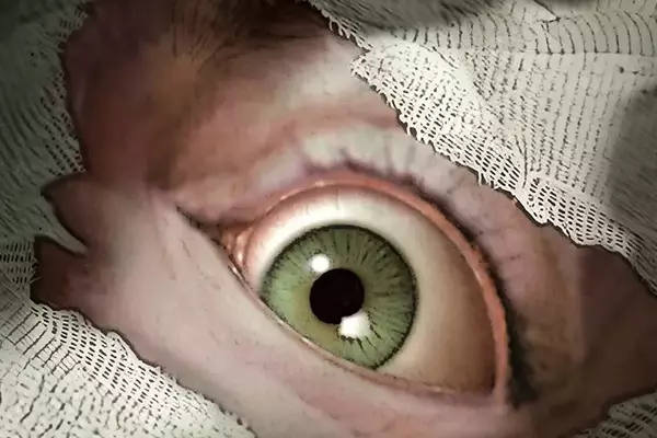 Classic Horror Game 'Sanitarium' Set for Enhanced Re-Release in 2026