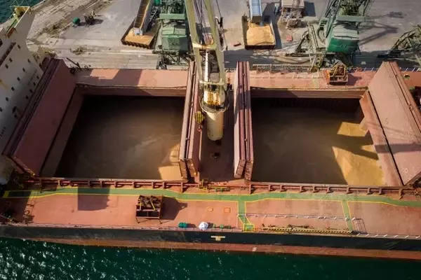 Star Bulk Carriers Corp. Reports Robust Q2 Performance and Optimistic Outlook