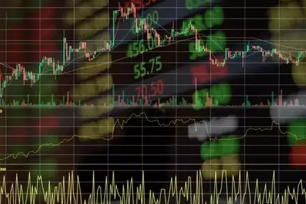 Unpacking Portfolio Performance: Key Drivers and Market Dynamics