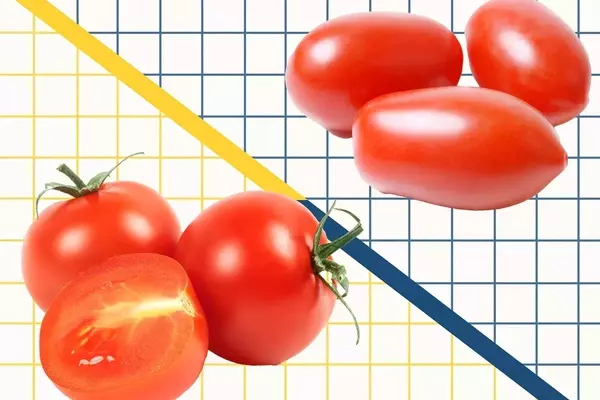 Understanding the Differences Between Cherry and Grape Tomatoes