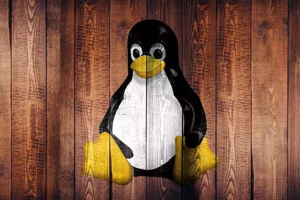 Linux Evades Age Verification Mandate in California, SteamOS Status Uncertain