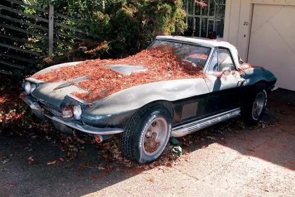 The Enduring Spirit of Forgotten Classic Cars