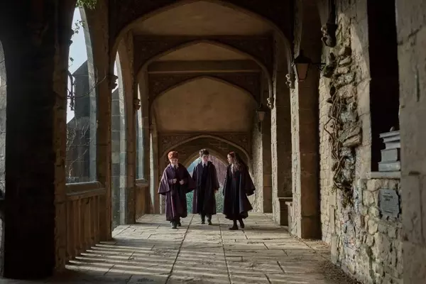 HBO's "Harry Potter" Series Reveals New Cast for Season 2, Including Dobby and Tom Riddle