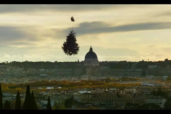 A Soothing Yet Subdued Documentary on the Enigmatic World of Trees