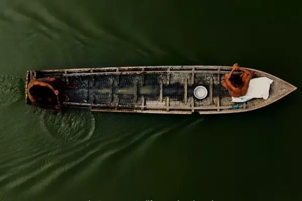 Water Crisis Documentary 'Every Living Thing' Debuts at Toronto Market, VIBE Joins as Partner
