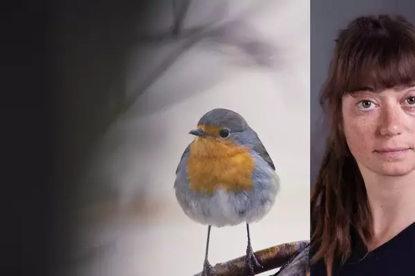 A Documentary on Nature's Resilience in the Face of Industry