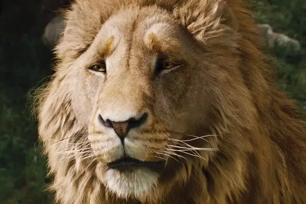Greta Gerwig's Narnia Film Reveals First Look, Meryl Streep Cast as Aslan