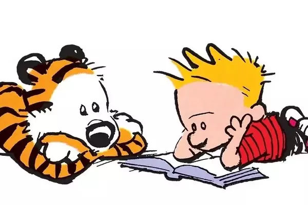 The Enduring Legacy of Calvin and Hobbes: Environmentalism and the Intangible