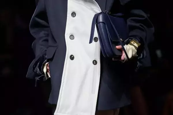 The Ferragamo Cara Bag: A Must-Have Accessory for Celebrities and Beyond